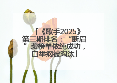 《歌手2025》第三期排名：“断眉”袭榜单依纯成功，白举纲被淘汰