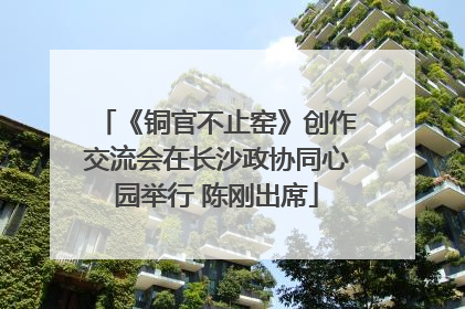 《铜官不止窑》创作交流会在长沙政协同心园举行 陈刚出席