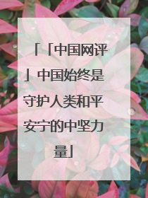 「中国网评」中国始终是守护人类和平安宁的中坚力量