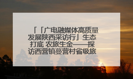 「广电融媒体高质量发展陕西采访行」生态打底 农旅生金——探访西营镇蔓营村省级旅游示范村的振兴密码