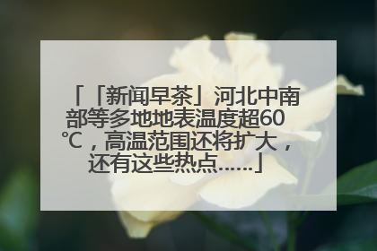 「新闻早茶」河北中南部等多地地表温度超60℃，高温范围还将扩大，还有这些热点……
