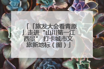 「旅发大会看青原」走进“山川第一江西景” 打卡城市文旅新地标（图）