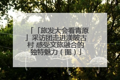 「旅发大会看青原」采访团走进渼陂古村 感受文旅融合的独特魅力（图）