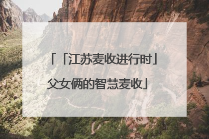 「江苏麦收进行时」父女俩的智慧麦收