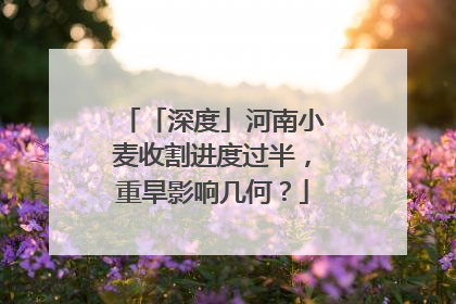 「深度」河南小麦收割进度过半，重旱影响几何？