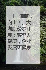 「湘商，向上！」大湖股份罗订坤：转型大健康，企业发展更健康