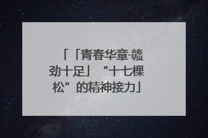 「青春华章·赣劲十足」“十七棵松”的精神接力