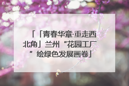 「青春华章·重走西北角」兰州“花园工厂”绘绿色发展画卷