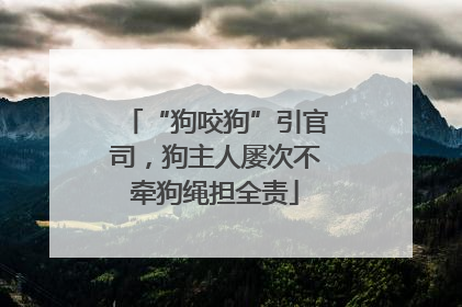 “狗咬狗”引官司，狗主人屡次不牵狗绳担全责