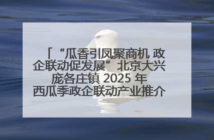“瓜香引凤聚商机 政企联动促发展”北京大兴庞各庄镇 2025 年西瓜季政企联动产业推介活动圆满举行