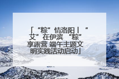 “粽”情洛阳丨“艾”在伊滨 “粽”享露营 端午主题文明实践活动启动