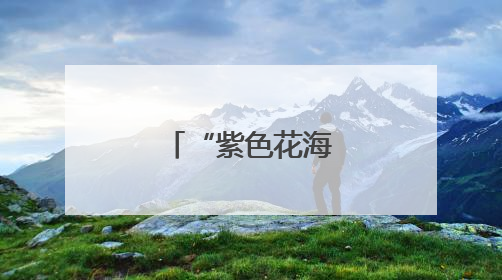 “紫色花海”引客来
