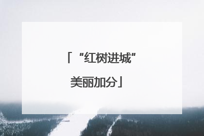 “红树进城” 美丽加分