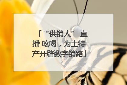 “供销人” 直播 吆喝,为土特产开辟数字销路