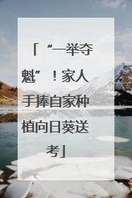 “一举夺魁”！家人手捧自家种植向日葵送考