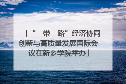 “一带一路”经济协同创新与高质量发展国际会议在新乡学院举办
