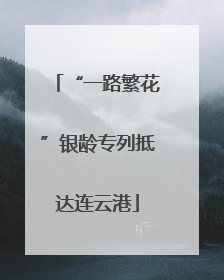 “一路繁花”银龄专列抵达连云港