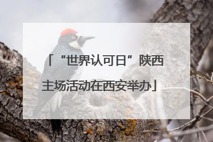 “世界认可日”陕西主场活动在西安举办