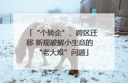 “个转企”、跨区迁移 新规破解小生意的“老大难”问题