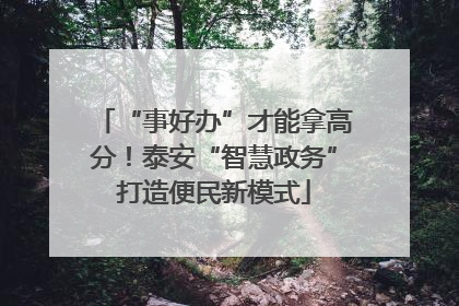 “事好办”才能拿高分！泰安“智慧政务”打造便民新模式