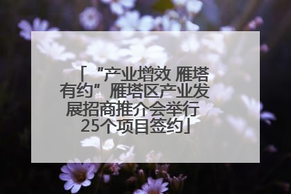 “产业增效 雁塔有约”雁塔区产业发展招商推介会举行 25个项目签约