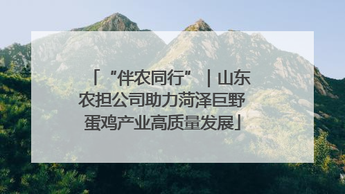 “伴农同行”｜山东农担公司助力菏泽巨野蛋鸡产业高质量发展