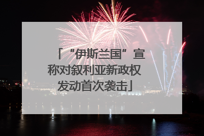 “伊斯兰国”宣称对叙利亚新政权发动首次袭击