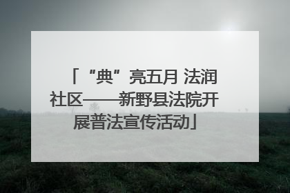 “典”亮五月 法润社区——新野县法院开展普法宣传活动
