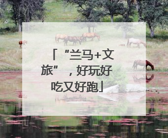 “兰马+文旅”，好玩好吃又好跑