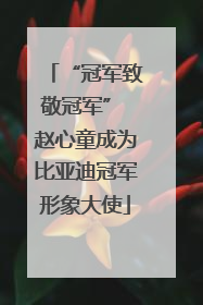 “冠军致敬冠军” 赵心童成为比亚迪冠军形象大使