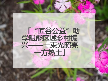 “匠谷公益”助学赋能区域乡村振兴——一束光照亮一方热土