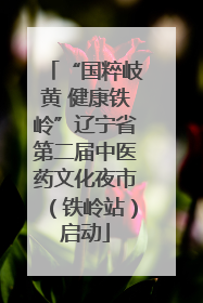 “国粹岐黄 健康铁岭”辽宁省第二届中医药文化夜市（铁岭站）启动