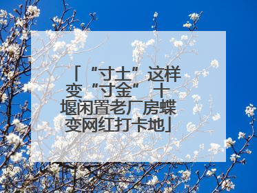 “寸土”这样变“寸金” 十堰闲置老厂房蝶变网红打卡地