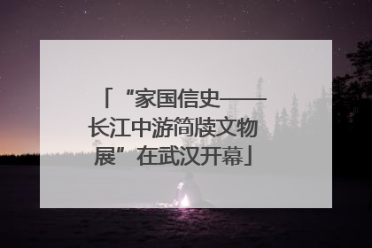 “家国信史——长江中游简牍文物展”在武汉开幕