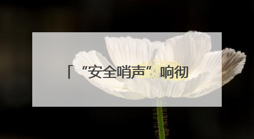 “安全哨声”响彻全镇！新泰羊流镇“宣教+检查”双轮驱动筑牢安全防线