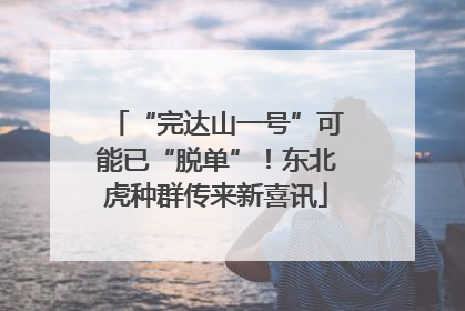 “完达山一号”可能已“脱单”！东北虎种群传来新喜讯