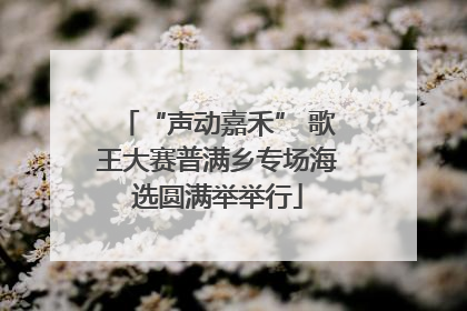 “声动嘉禾” 歌王大赛普满乡专场海选圆满举举行