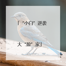 “小白”逆袭大“盈”家