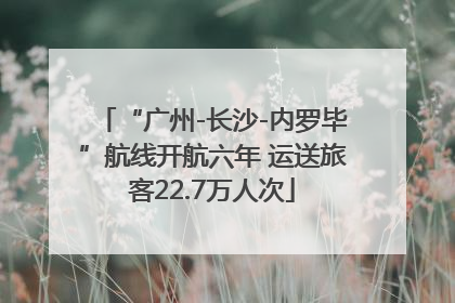 “广州-长沙-内罗毕”航线开航六年 运送旅客22.7万人次