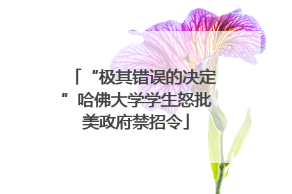 “极其错误的决定”哈佛大学学生怒批美政府禁招令