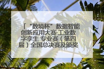 “数境杯”数据智能创新应用大赛·工业数字孪生 专业赛（第四届）全国总决赛及颁奖典礼成功举办