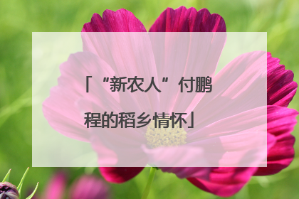 “新农人”付鹏程的稻乡情怀