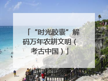 “时光胶囊”解码万年农耕文明（考古中国）
