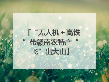 “无人机＋高铁”带赣南农特产“飞”出大山