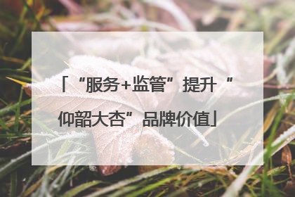 “服务+监管”提升“仰韶大杏”品牌价值