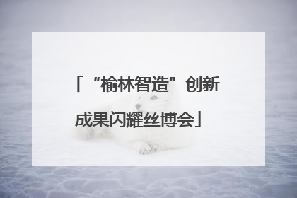 “榆林智造”创新成果闪耀丝博会
