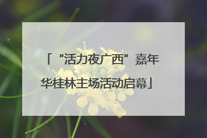 “活力夜广西”嘉年华桂林主场活动启幕