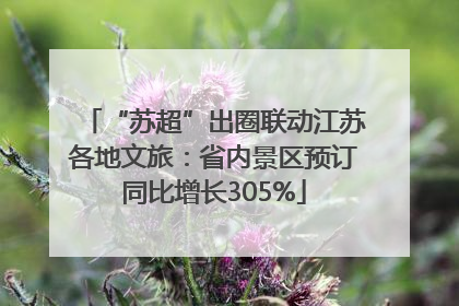 “苏超”出圈联动江苏各地文旅：省内景区预订同比增长305%