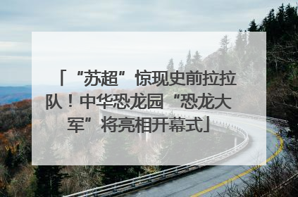 “苏超”惊现史前拉拉队！中华恐龙园“恐龙大军”将亮相开幕式