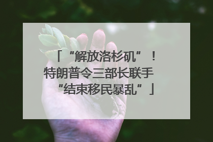 “解放洛杉矶”！特朗普令三部长联手“结束移民暴乱”
